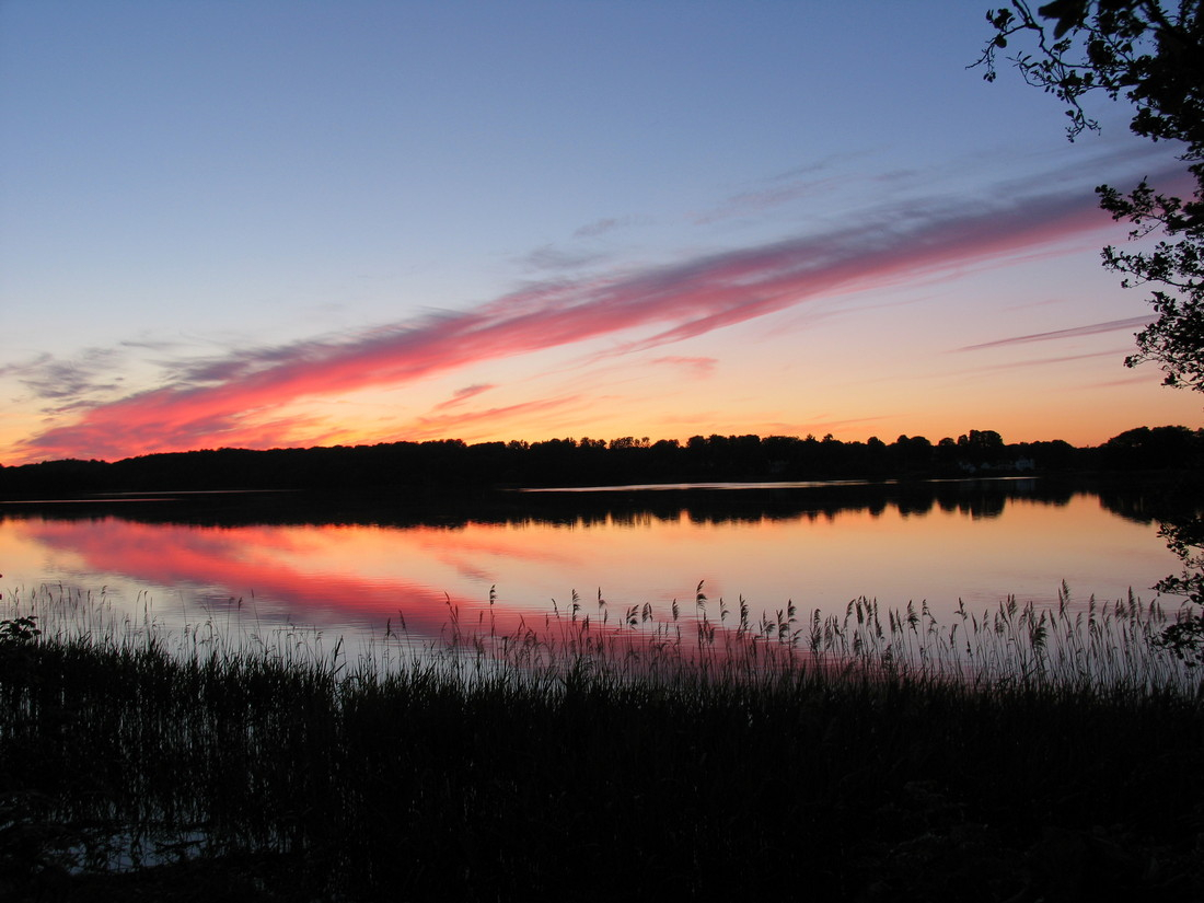 Spejling Bagsvær Sø